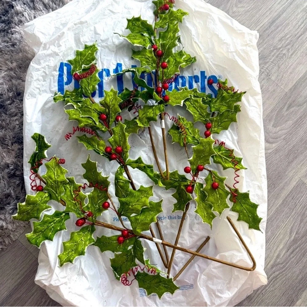 Festive Green and Red Holly Stems